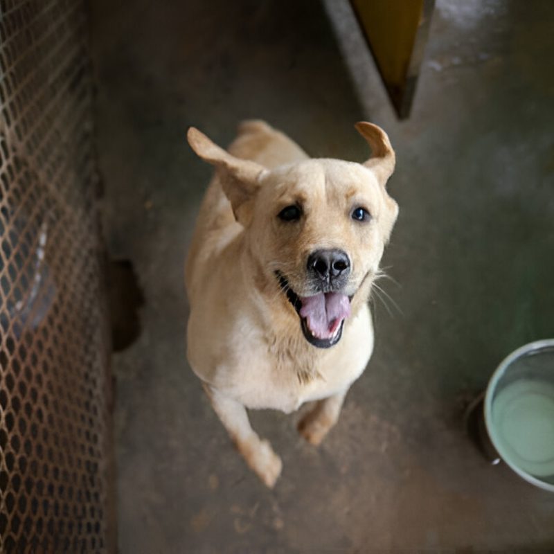 steptodown.com537775